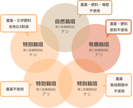 栽培方法の比較